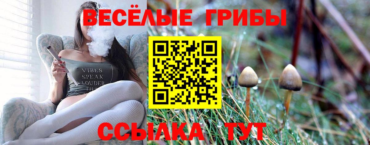 Симферополь  Псилоцибиновые грибы Magic Shrooms  Вход с VPN 